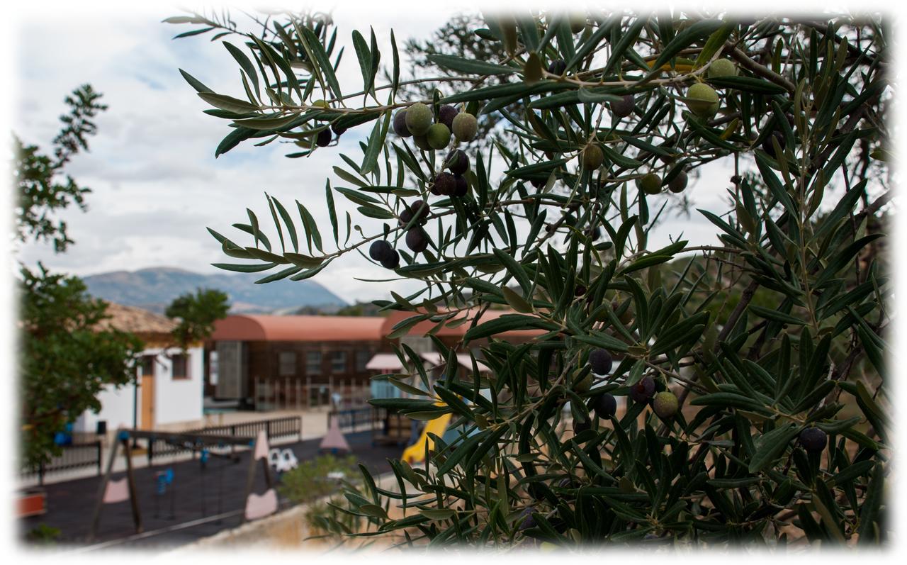 Hotel - Restaurante Estacion Via Verde Ольвера Экстерьер фото